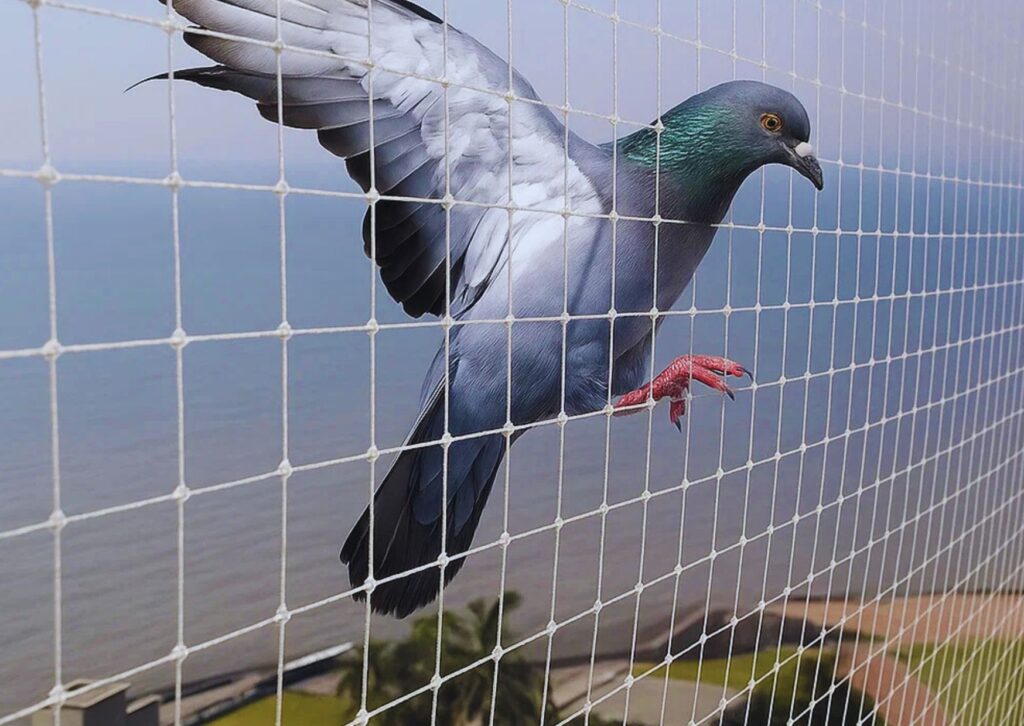 pigeon safety nets for balconies