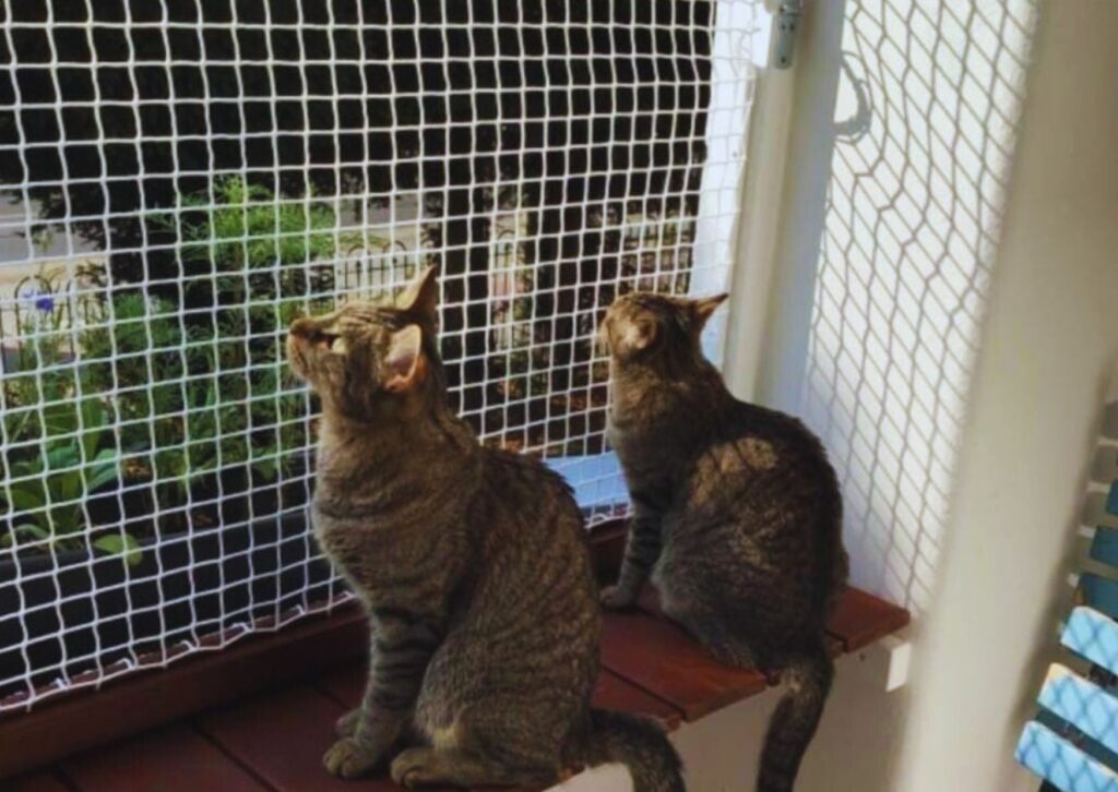 pets safety nets and kids balcony safety nets installation