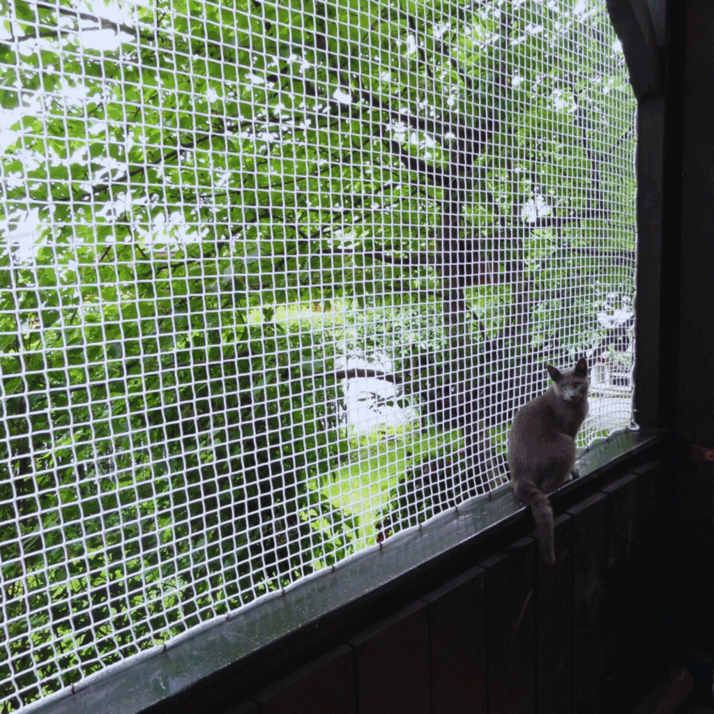 pets safety nets for balconies Hyderabad