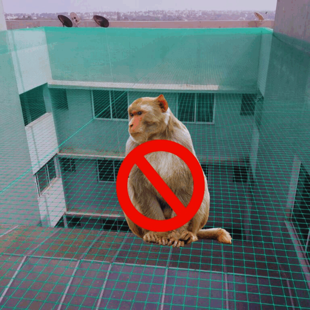monkey safety nets installation Hyderabad